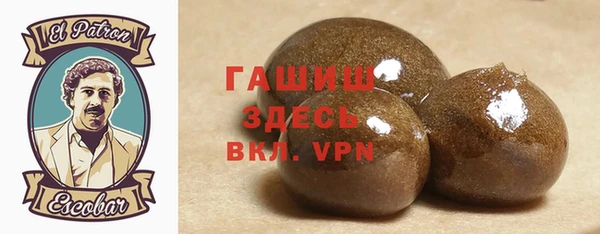 хмурый Алексин