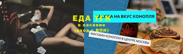 хмурый Алексин