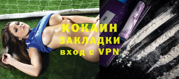 хмурый Алексин
