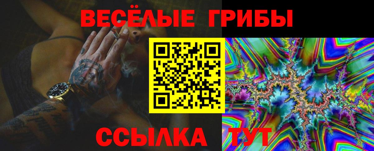 Псилоцибиновые грибы GOLDEN TEACHER  Вход с VPN  Галлюциногенные грибы прущие грибы  Нарткала 